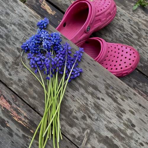 Photo #13641281