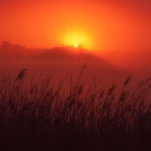 Photo #13641310