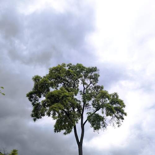Photo #13641345