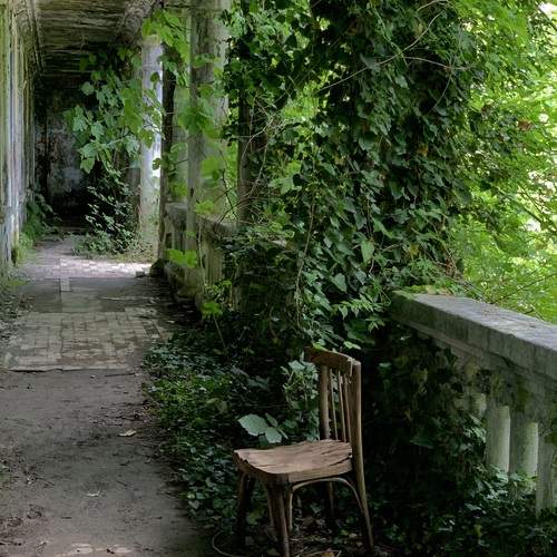 Photo #13641355
