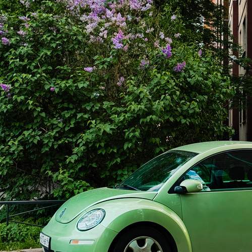 Photo #13641407
