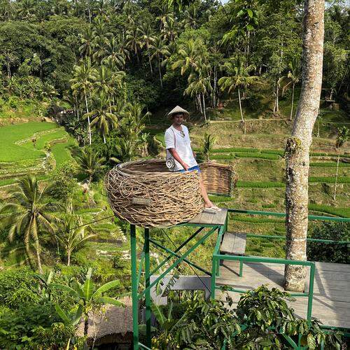 Photo #13641420
