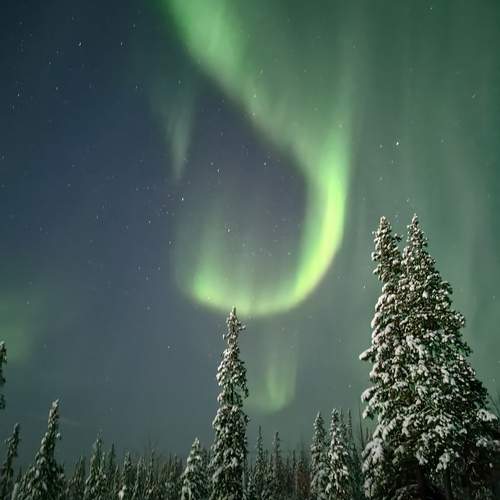 Photo #13641426