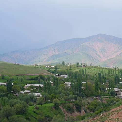 Photo #13641431