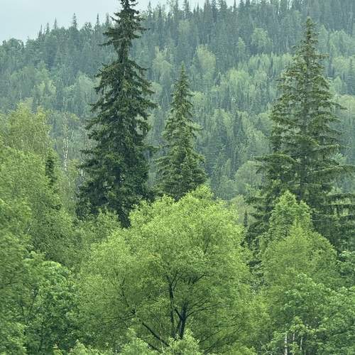 Photo #13641443