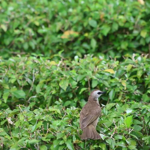 Photo #13641483