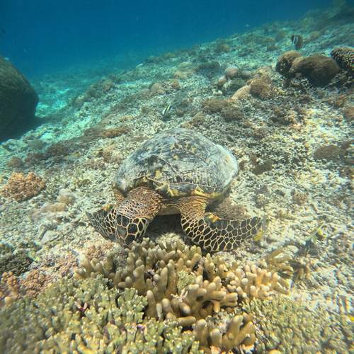 Photo #13641484
