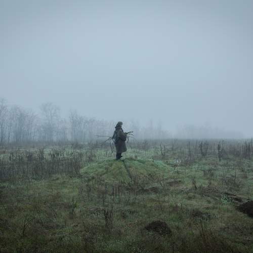Photo #13641685