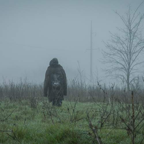 Photo #13641690