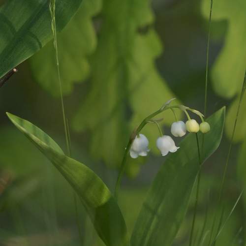 Photo #13641705
