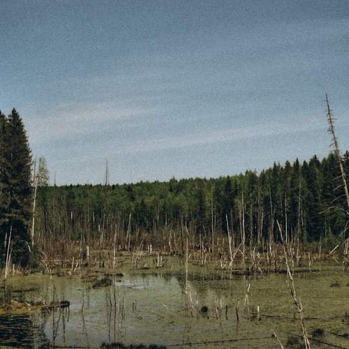 Photo #13641805