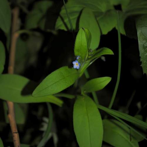 Photo #13641859