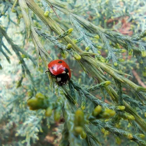 Photo #13641898