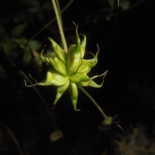 Photo #13641909