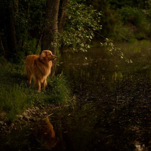 Photo #13642004