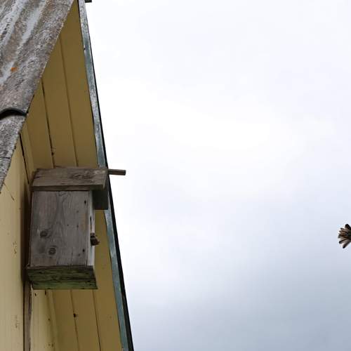 Photo #13642013