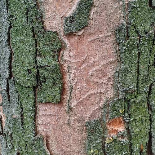 Photo #13642047