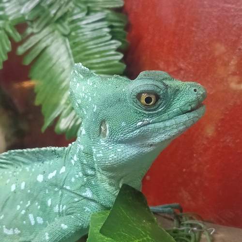 Photo #13642068
