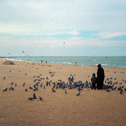 Photo #13642212