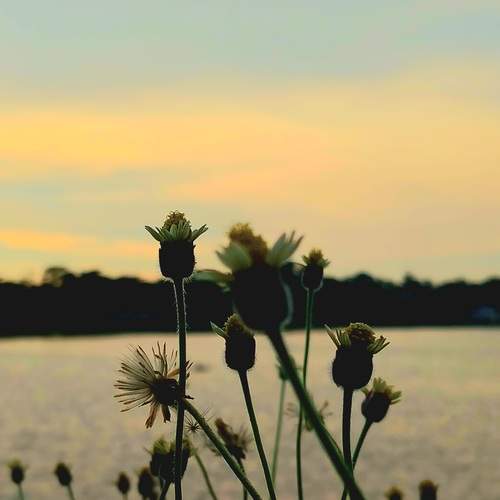 Photo #13642227
