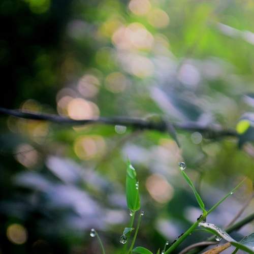 Photo #13642232