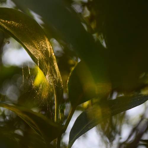 Photo #13642233