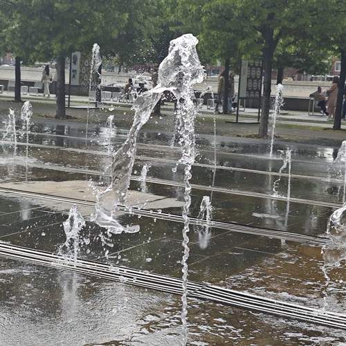 Photo #13642245