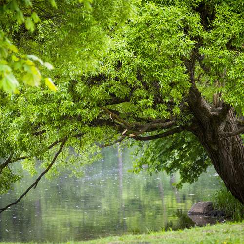 Photo #13642362