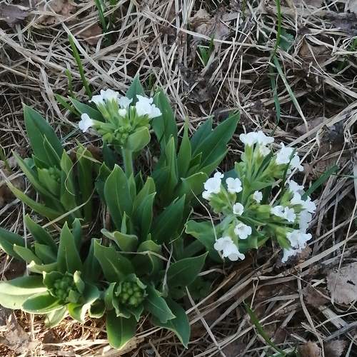 Photo #13642453