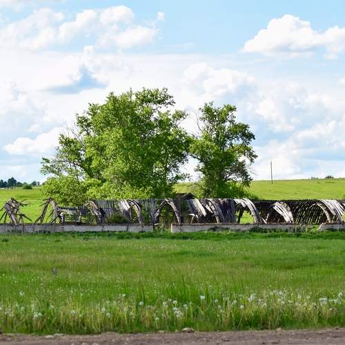 Photo #13642459