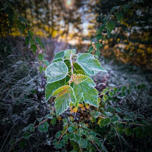 Photo #13642525