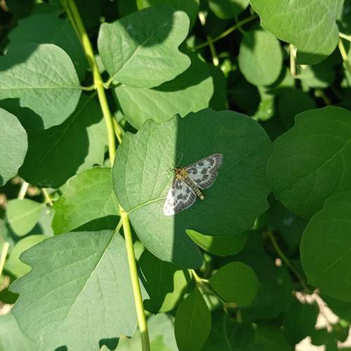 Photo #13642678