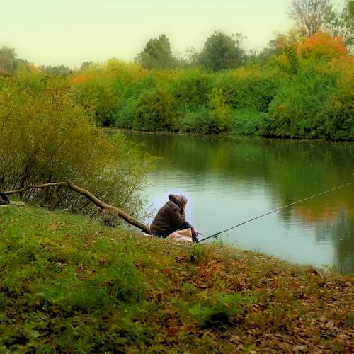 Photo #13642718