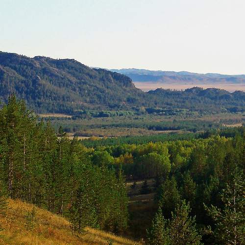 Photo #13642723