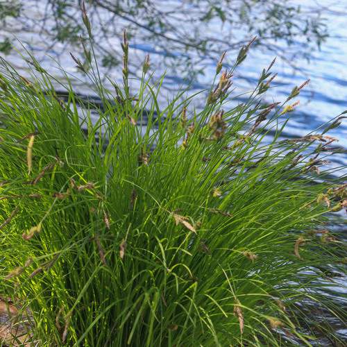 Photo #13642794