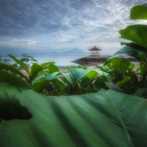Photo #13642795