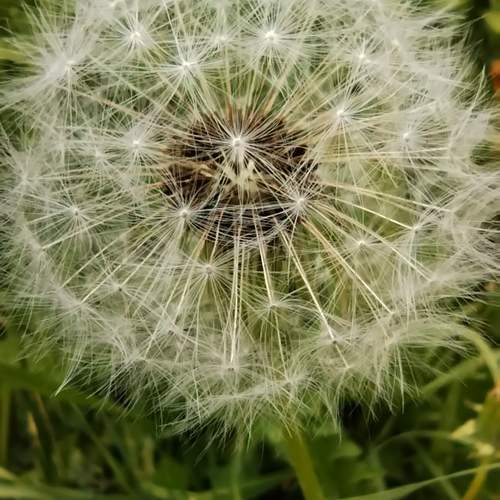 Photo #13642826