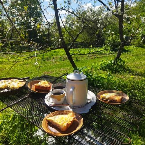 Photo #13642834
