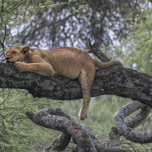 Photo #13642837
