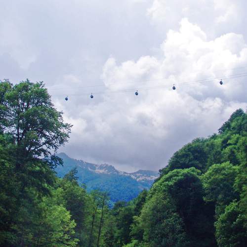 Photo #13642885