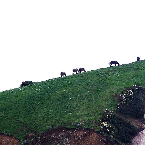 Photo #13642904