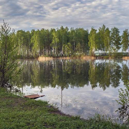 Photo #13642948