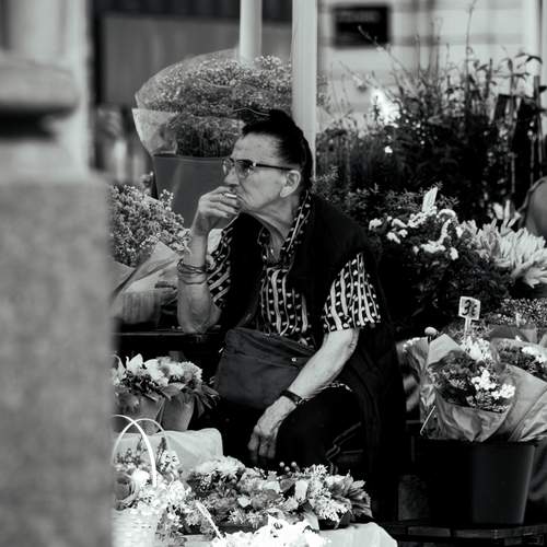Photo #13643006