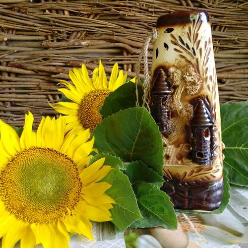 Photo #13643032