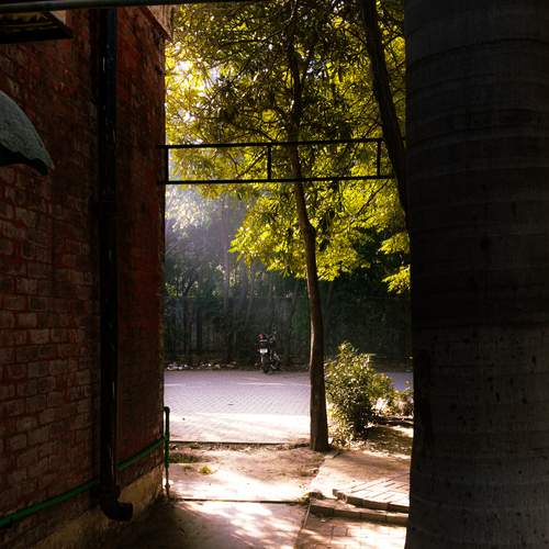 Photo #13643055