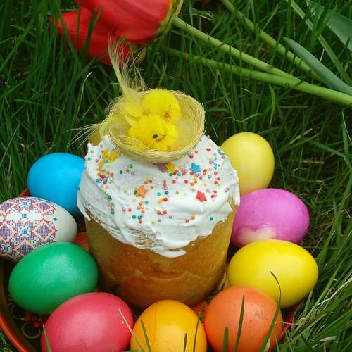 Photo #13643058