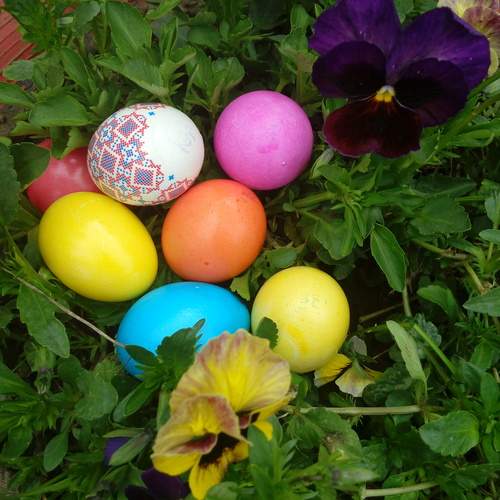 Photo #13643063