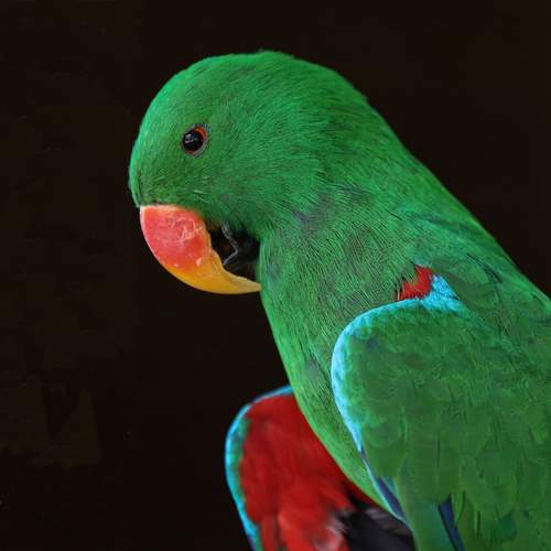 Photo #13643106