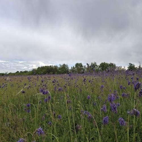 Photo #13643128