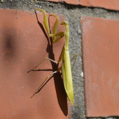 Photo #13643132